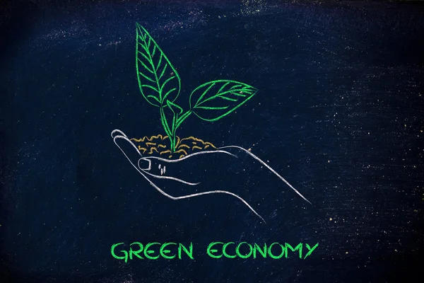 Concept of green economy, hands holding new plant — Stock Photo, Image