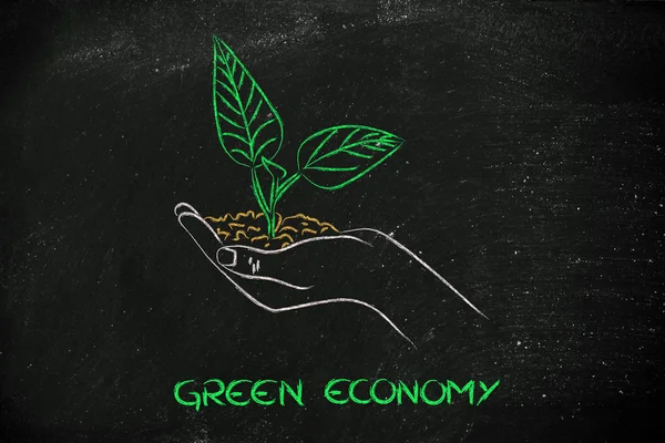 Concept of green economy, hands holding new plant — Stock Photo, Image