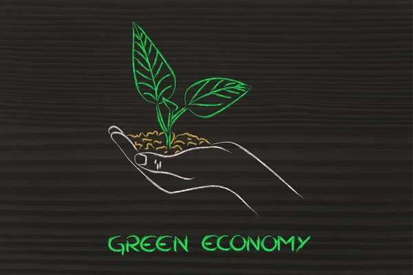 Concept of green economy, hands holding new plant — Stock Photo, Image