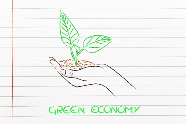 Concept of green economy, hands holding new plant — Stock Photo, Image