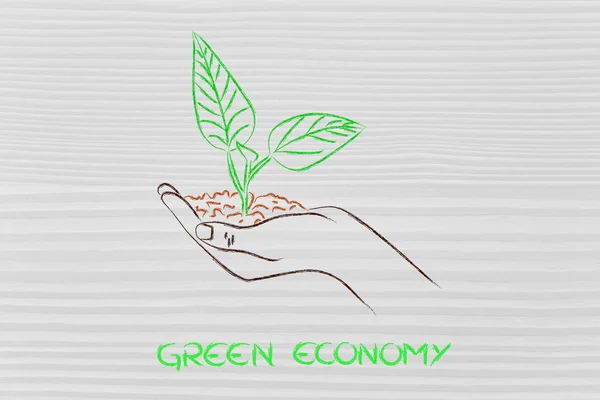 Concepto de economía verde, manos sosteniendo nueva planta — Foto de Stock