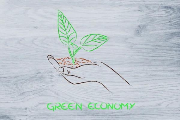 Concept of green economy, hands holding new plant — Stock Photo, Image