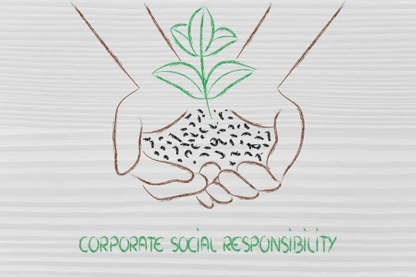 Concept of green economy, hands holding new plant — Stock Photo, Image