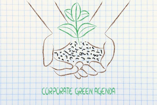 Concept of green economy, hands holding new plant — Stock Photo, Image