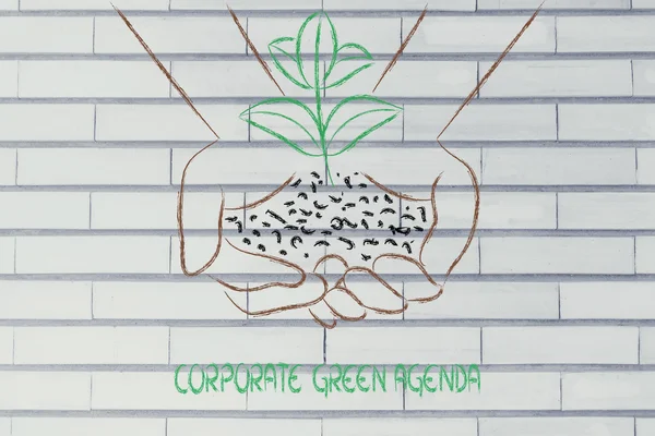 Koncepció, zöld gazdaság, kéz, gazdaság új üzem — Stock Fotó