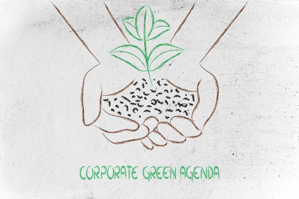 Koncepció, zöld gazdaság, kéz, gazdaság új üzem — Stock Fotó