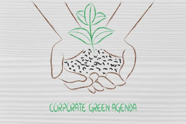 Concept of green economy, hands holding new plant — Stock Photo, Image