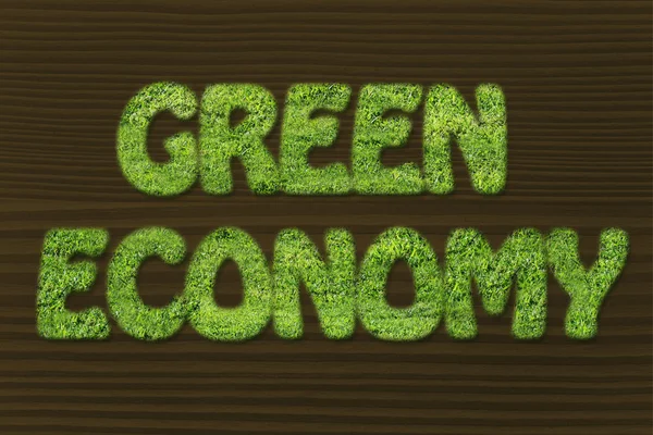 Green economy writing made of grass texture — Stock Photo, Image