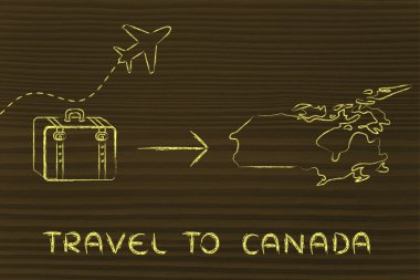 seyahat endüstrisinin: uçak ve Bagaj Kanada'ya gidiyor