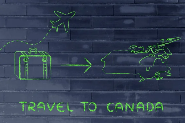 Seyahat endüstrisinin: uçak ve Bagaj Kanada'ya gidiyor — Stok fotoğraf