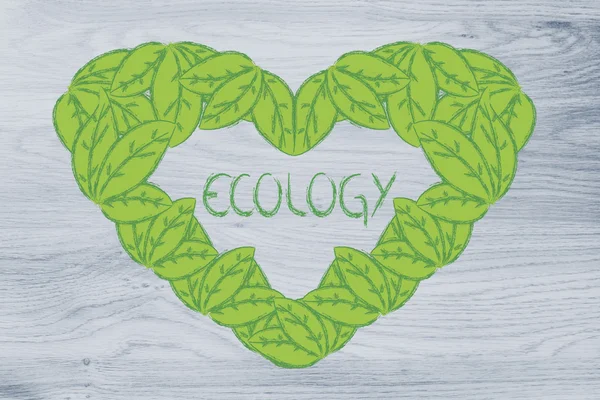 Écologie et économie verte, cœur fait de feuilles — Photo