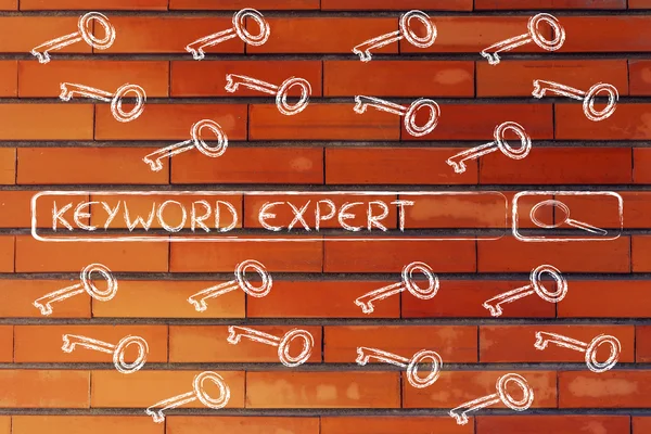 Search engine bar with tags about Keyword experts — Stock Photo, Image