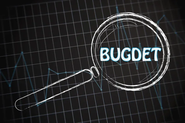 Budget mit Geschäftsdiagramm — Stockfoto