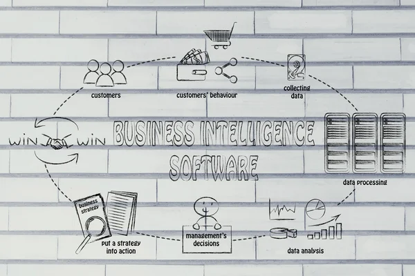 business intelligence software cycle