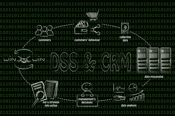 DSS & crm cyclus — Stockfoto