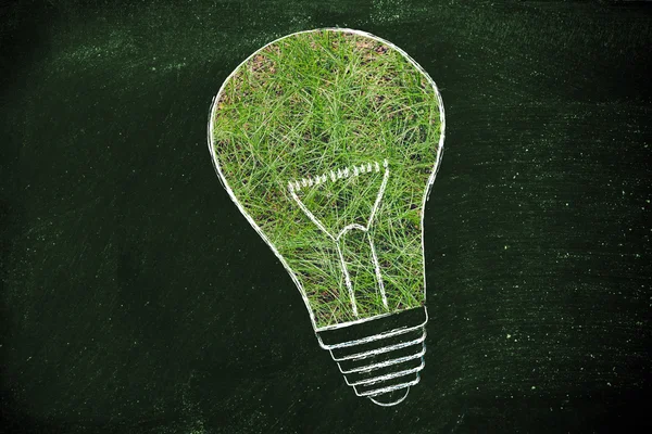 Lightbulb made of grass — Stock Photo, Image