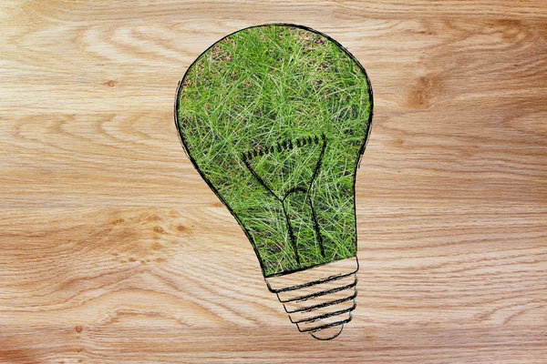 Lightbulb made of grass — Stock Photo, Image