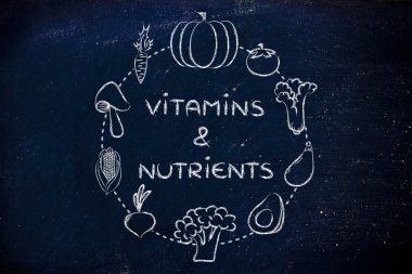 Vitaminler ve besin illüstrasyon