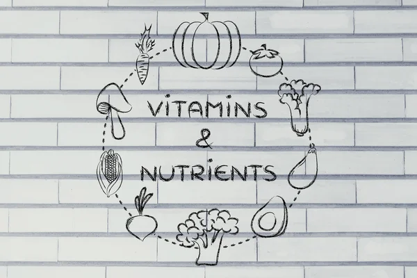 Vitamine & Nährstoffe Illustration — Stockfoto