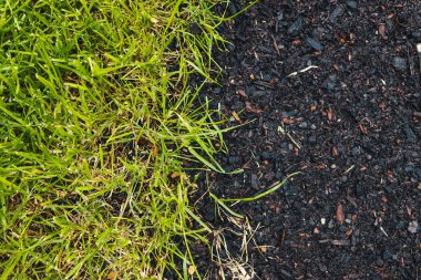 close up of green grass beside a bare soil patch with grass seeds, symbolizing growth, landscaping, and natural renewal
