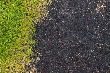 close up of green grass beside a bare soil patch with grass seeds, symbolizing growth, landscaping, and natural renewal