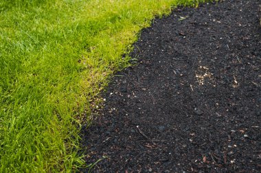 close up of green grass beside a bare soil patch with grass seeds, symbolizing growth, landscaping, and natural renewal