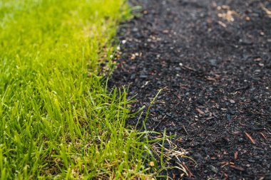close up of green grass beside a bare soil patch with grass seeds, symbolizing growth, landscaping, and natural renewal