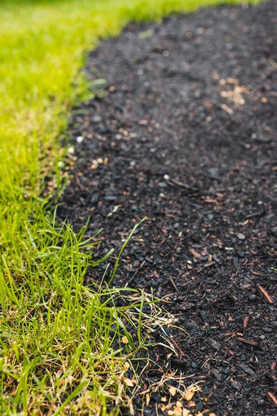 close up of green grass beside a bare soil patch with grass seeds, symbolizing growth, landscaping, and natural renewal