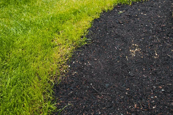 close up of green grass beside a bare soil patch with grass seeds, symbolizing growth, landscaping, and natural renewal