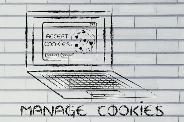 Illustrazione della gestione dei cookie e delle impostazioni del browser — Foto Stock