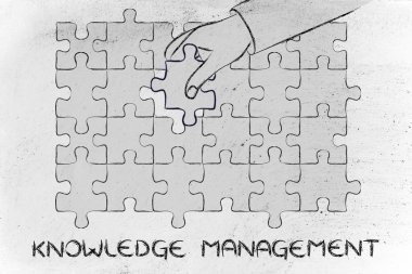 bilgi yönetimi kavramı