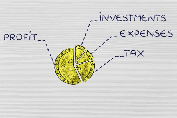 Золотая монета, как круговая диаграмма с текстом бюджетного элемента — стоковое фото