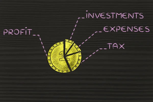 Moneda de oro dividida como un gráfico circular con texto elemento presupuesto — Foto de Stock