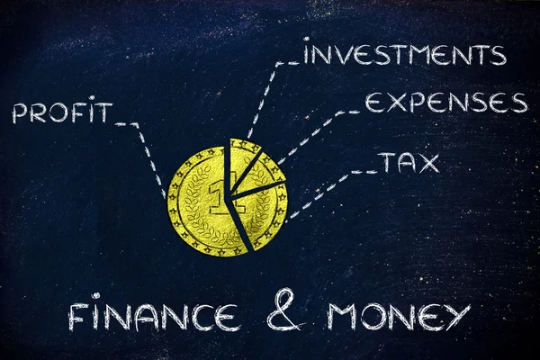 Moneta d'oro divisa come un grafico a torta e testo Finanza e denaro — Foto Stock