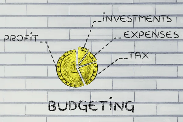 Moneda de oro dividida como un gráfico circular y texto Presupuesto — Foto de Stock