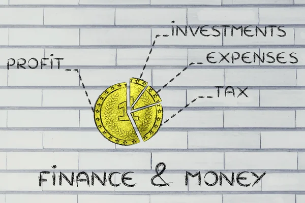 Moneda de oro dividida como un gráfico circular y texto Finanzas y dinero —  Fotos de Stock