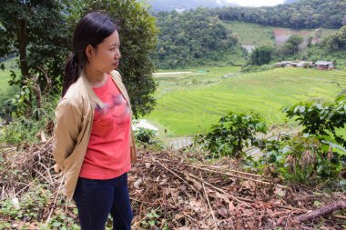 Teras alanı pirinç Pha Pzt Chiangmai Tayland Taylandlı kadın