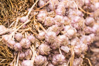 Tay markette satılacak galic