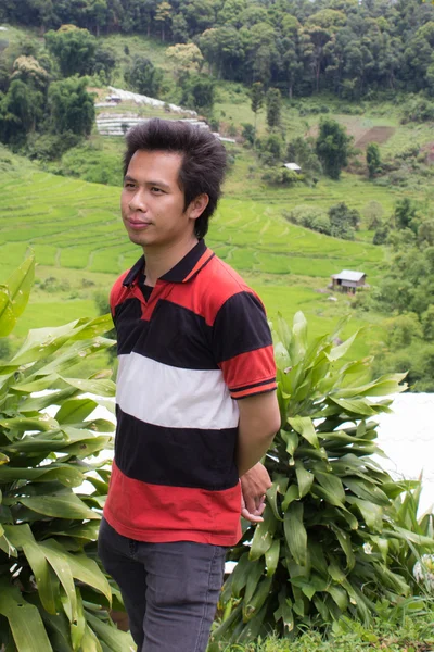 Thaise man met terrasvormige Rice Field, Pha Mon Chiangmai Thailand — Stockfoto