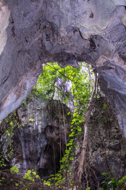 Luang Pha Wiang Mağarası, Lamphun Tayland