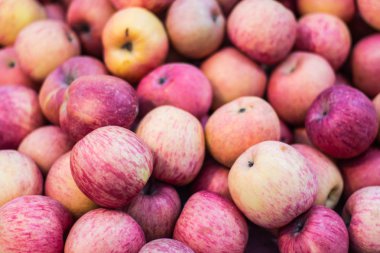 Apple arka planda Tay Pazar