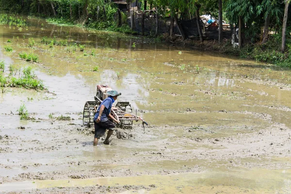 Asie farmář pomocí kormidla traktoru v rýži — Stock fotografie