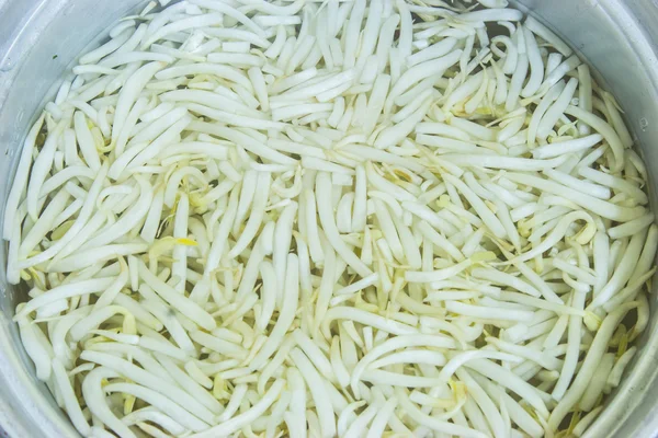 Beansprout in water — Stockfoto