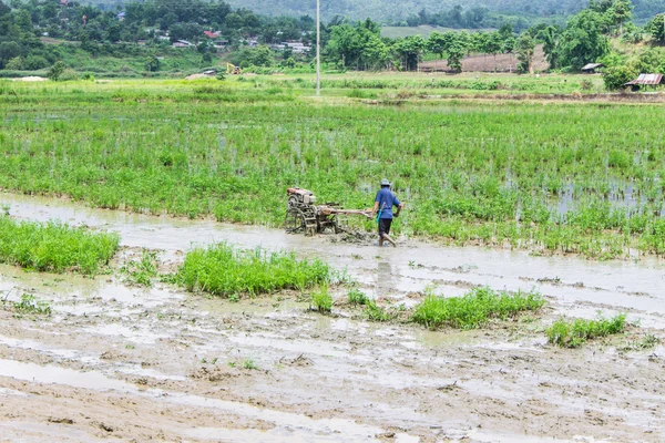 Asie farmář pomocí kormidla traktoru v rýži — Stock fotografie