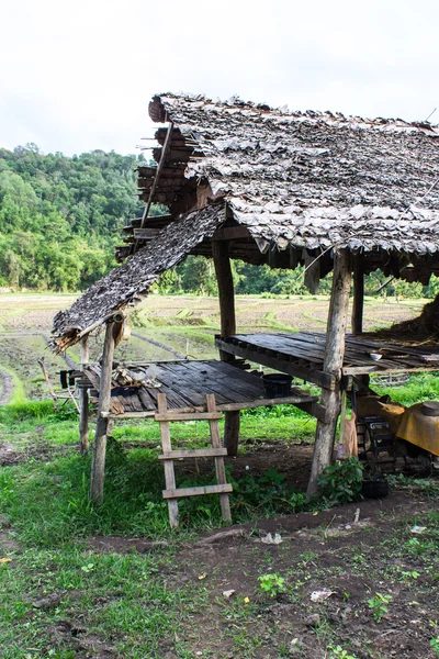 Hut in platteland, thailand — Stockfoto