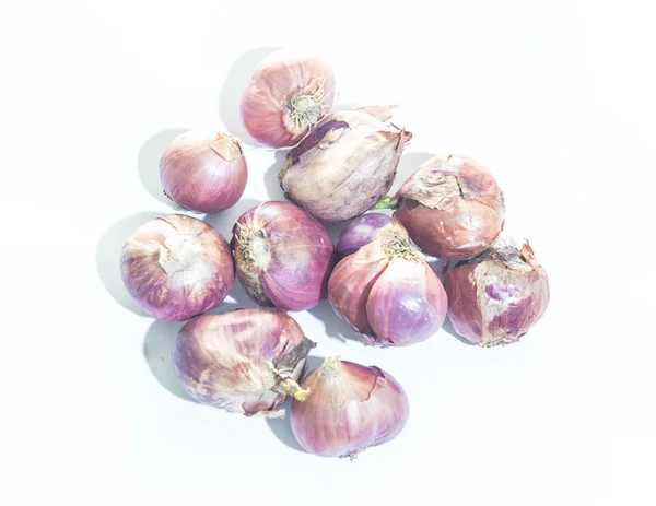 Shallot aislado —  Fotos de Stock