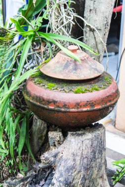 toprak kap içme suyu üzerinde yaşam, lanna tarzı Tay tarzı