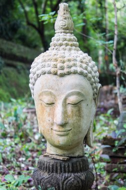 baş shot Buda heykelinin, Tayland