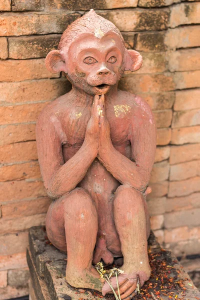Thajská socha opice — Stock fotografie