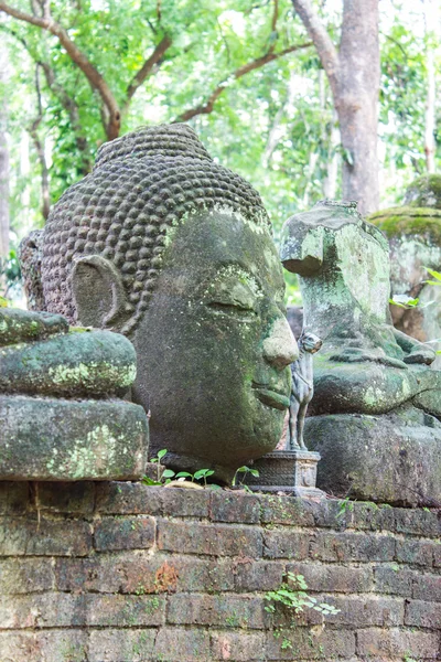 Старая статуя Будды в храме Умонга (Ват Умонг), Чиангмай Таиланд — стоковое фото